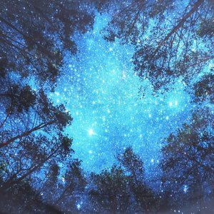 Starry Sky Square Trees Night Forest Wall Tapestry Woods Stars Blue Black Tree